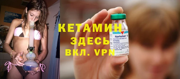 индика Алексин
