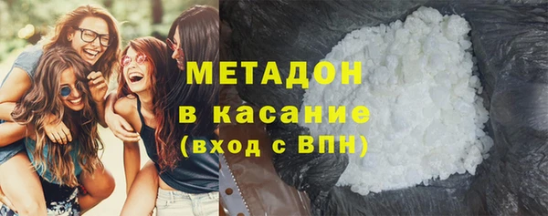 индика Алексин