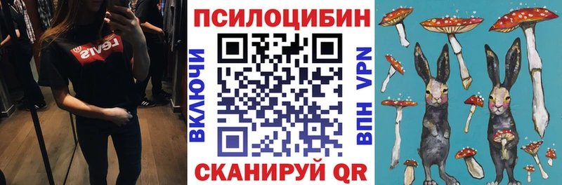 Галлюциногенные грибы Cubensis как найти закладки Мамадыш